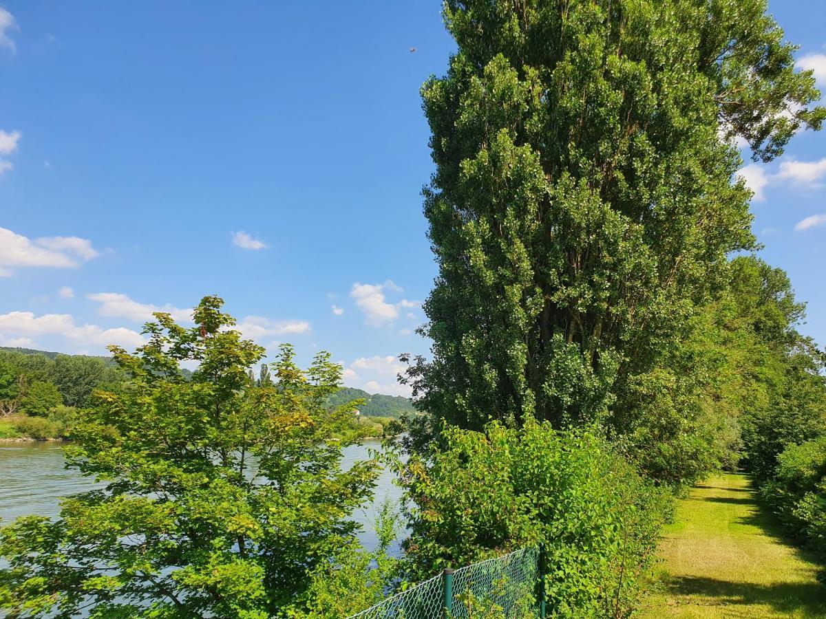 Ferienhaus Am Donauspitz Kelheim Zewnętrze zdjęcie